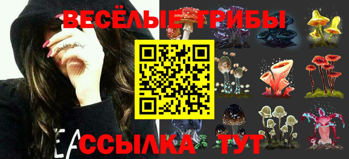 Мегион  Псилоцибиновые грибы мухоморы  Вход с VPN  Галлюциногенные грибы Cubensis 