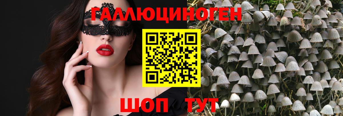 Галлюциногенные грибы Cubensis Мегион